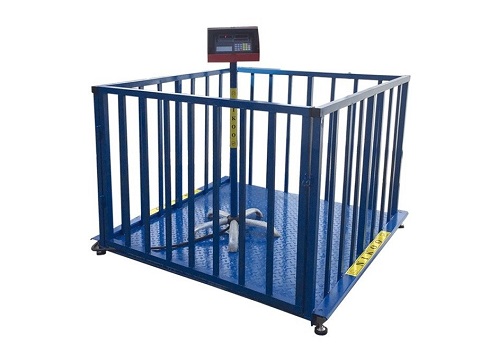 تصویر 1 از باسکول دام کش محک مقاوم در برابر ضربه با بدنه فولادی ضخیم