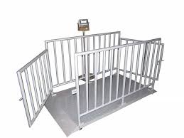 تصویر 1 از باسکول دامکش پند با قابلیت اتصال به کامپیوتر و چاپ فیش وزن