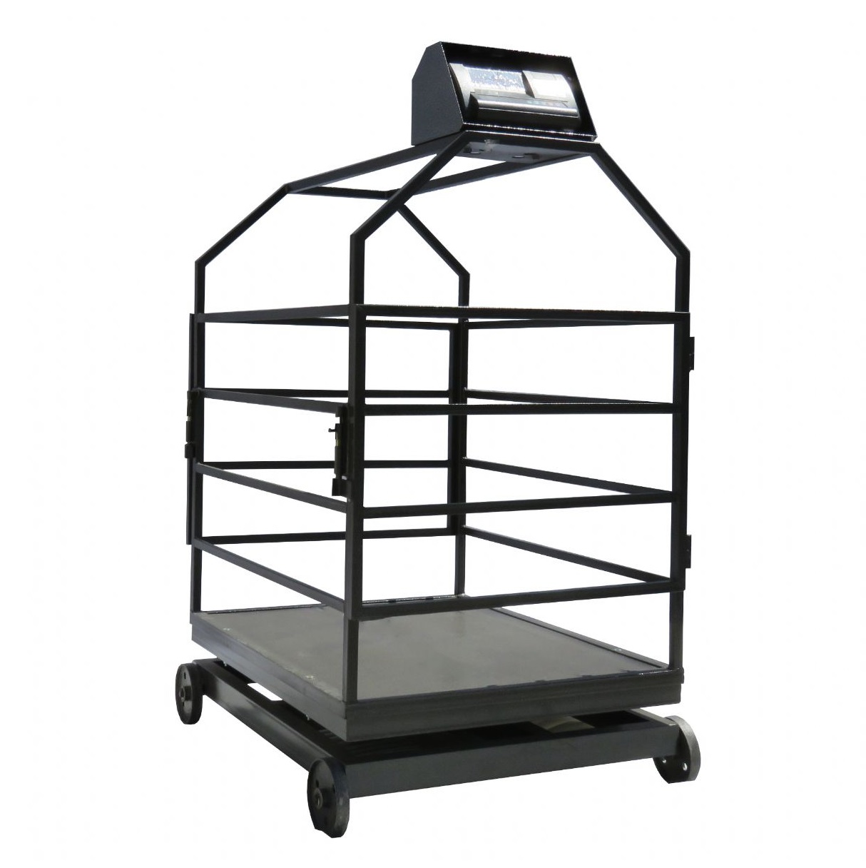 تصویر 3 از باسکول دامکش پند با قابلیت اتصال به کامپیوتر و چاپ فیش وزن