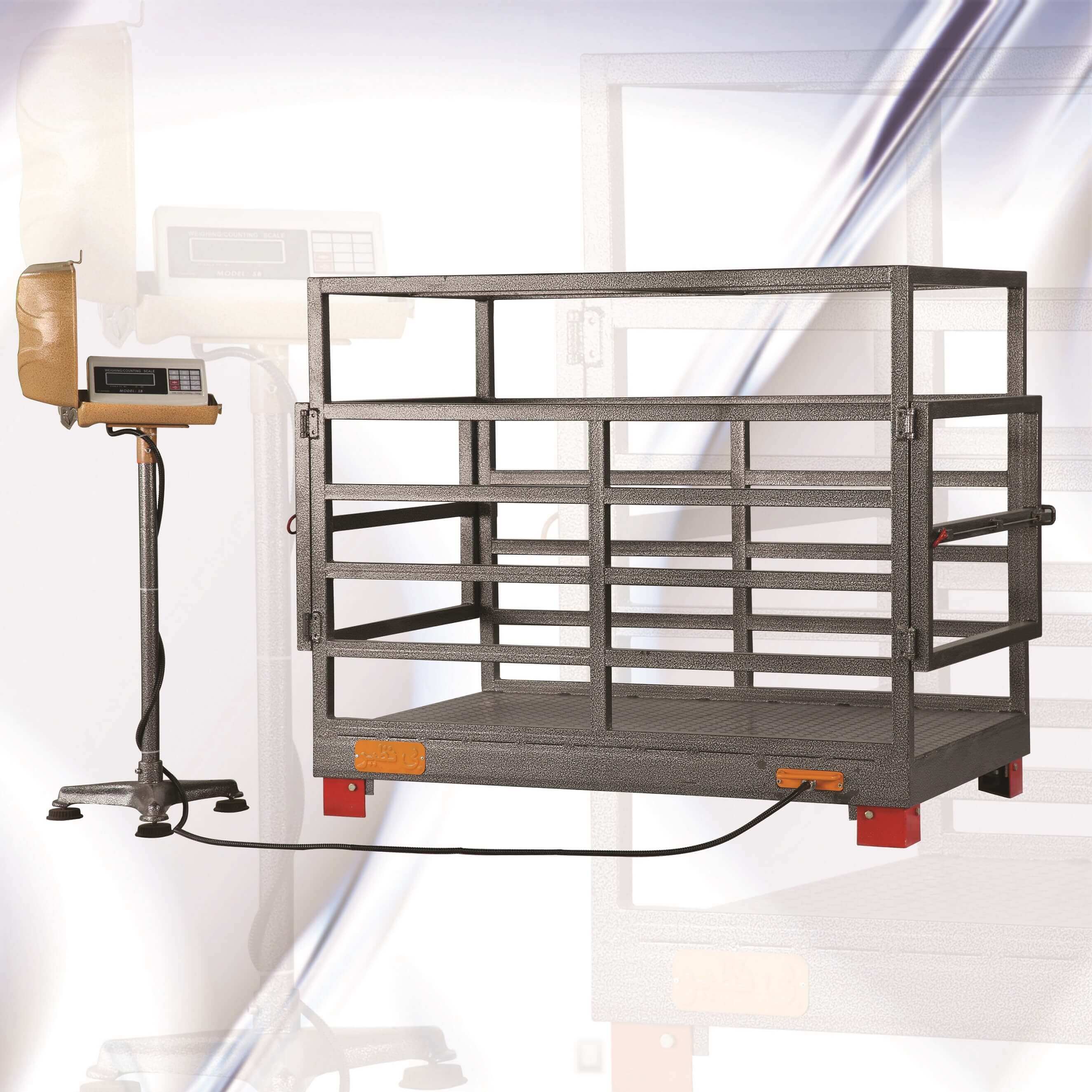 تصویر 4 از باسکول دامکش پند با قابلیت اتصال به کامپیوتر و چاپ فیش وزن