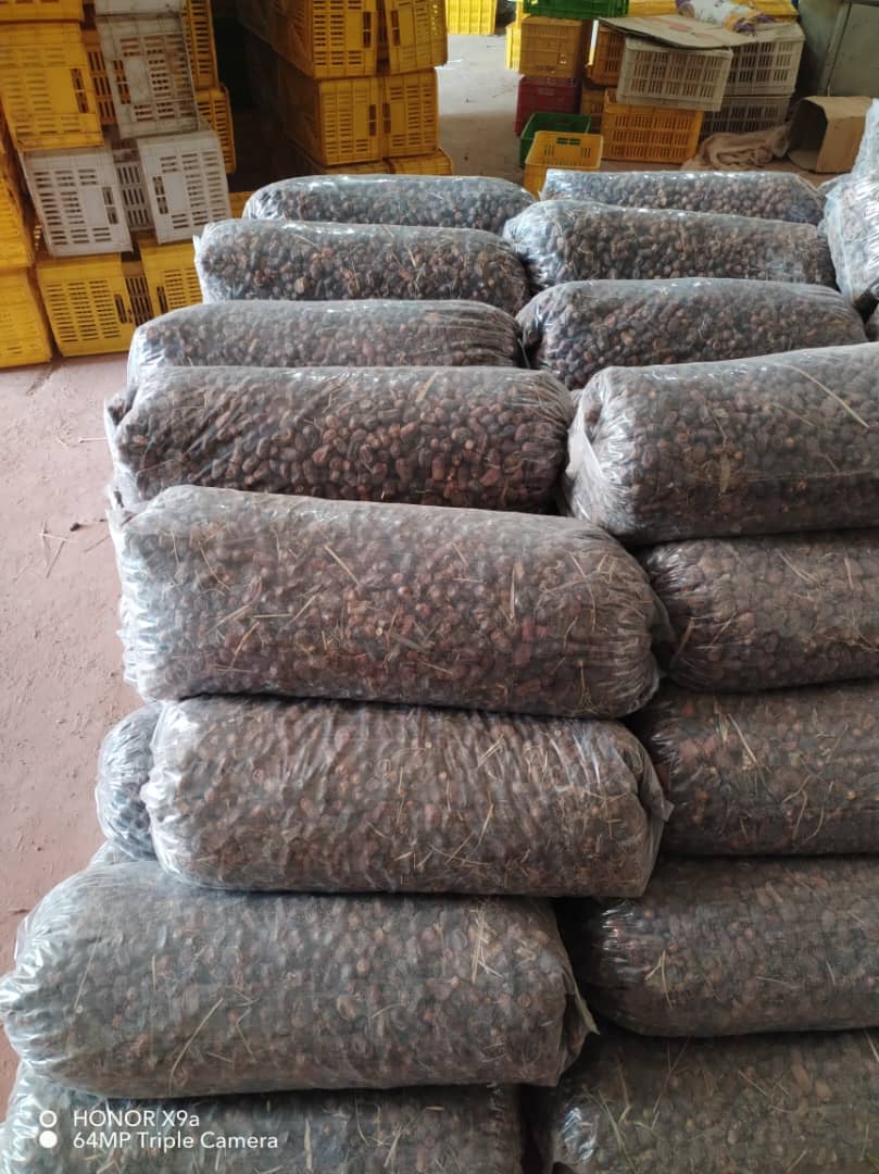 تصویر 2 از تامین ضایعات خرمای بم برای واحدهای تولید شیره خرما + حجم بالا و تحویل سریع