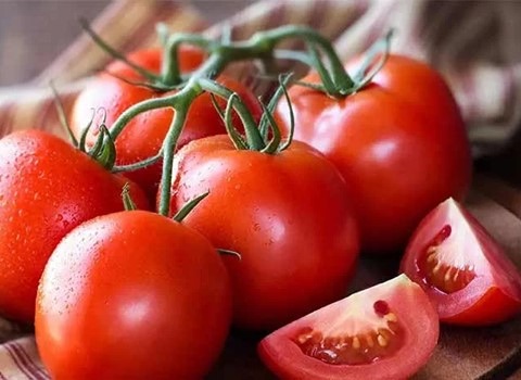 تصویر 3 از گوجه‌ فرنگی خوزستان با قدرت رنگ‌ دهی بالا و گوشت فراوان