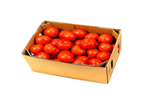 تصویر 4 از گوجه‌ فرنگی بوته ای اقتصادی و مقرون‌ به‌ صرفه مناسب پخش‌ کنندگان