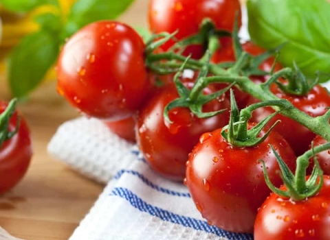 تصویر 4 از گوجه‌ فرنگی شیراز با طعم متعادل و بدون تلخی مناسب انواع غذاها