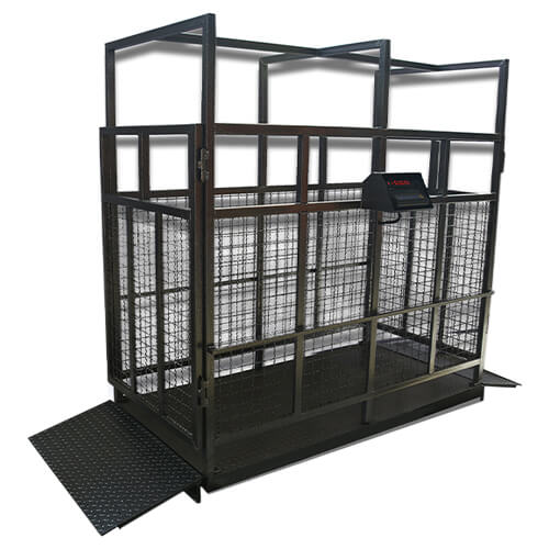 تصویر 4 از باسکول دام کش صنعتی هشت تنی برای دامداری های بزرگ