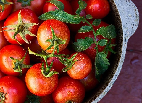 تصویر 1 از گوجه‌ فرنگی صادراتی گلخانه ای خوش‌ رنگ و آبدار