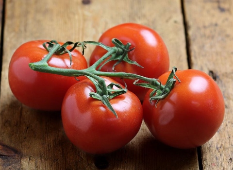 تصویر 4 از گوجه‌ فرنگی صادراتی گلخانه ای خوش‌ رنگ و آبدار