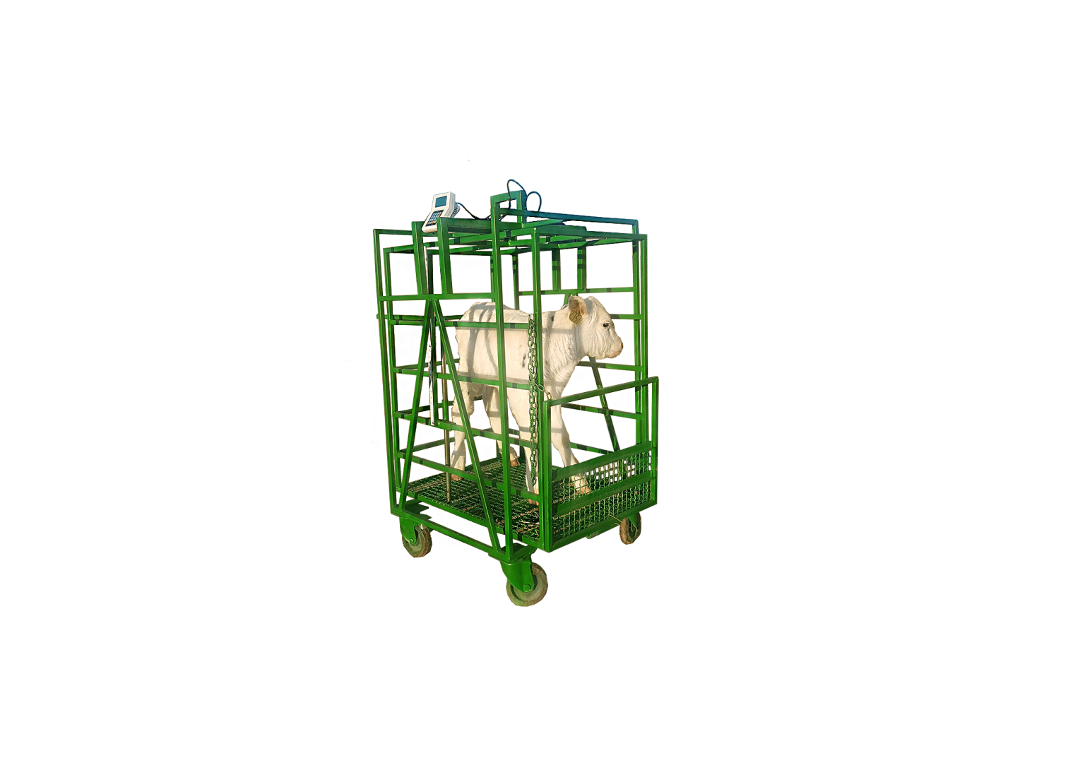 باسکول دام کش سبک با باتری شارژی قابل استفاده در فضاهای بیرون