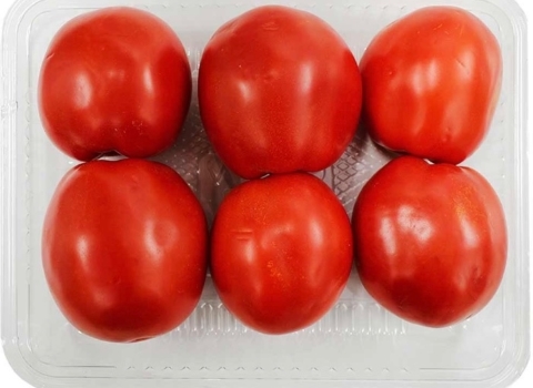 تصویر 3 از گوجه‌ فرنگی ربی درشت برداشت فصل با بیشترین میزان تازگی