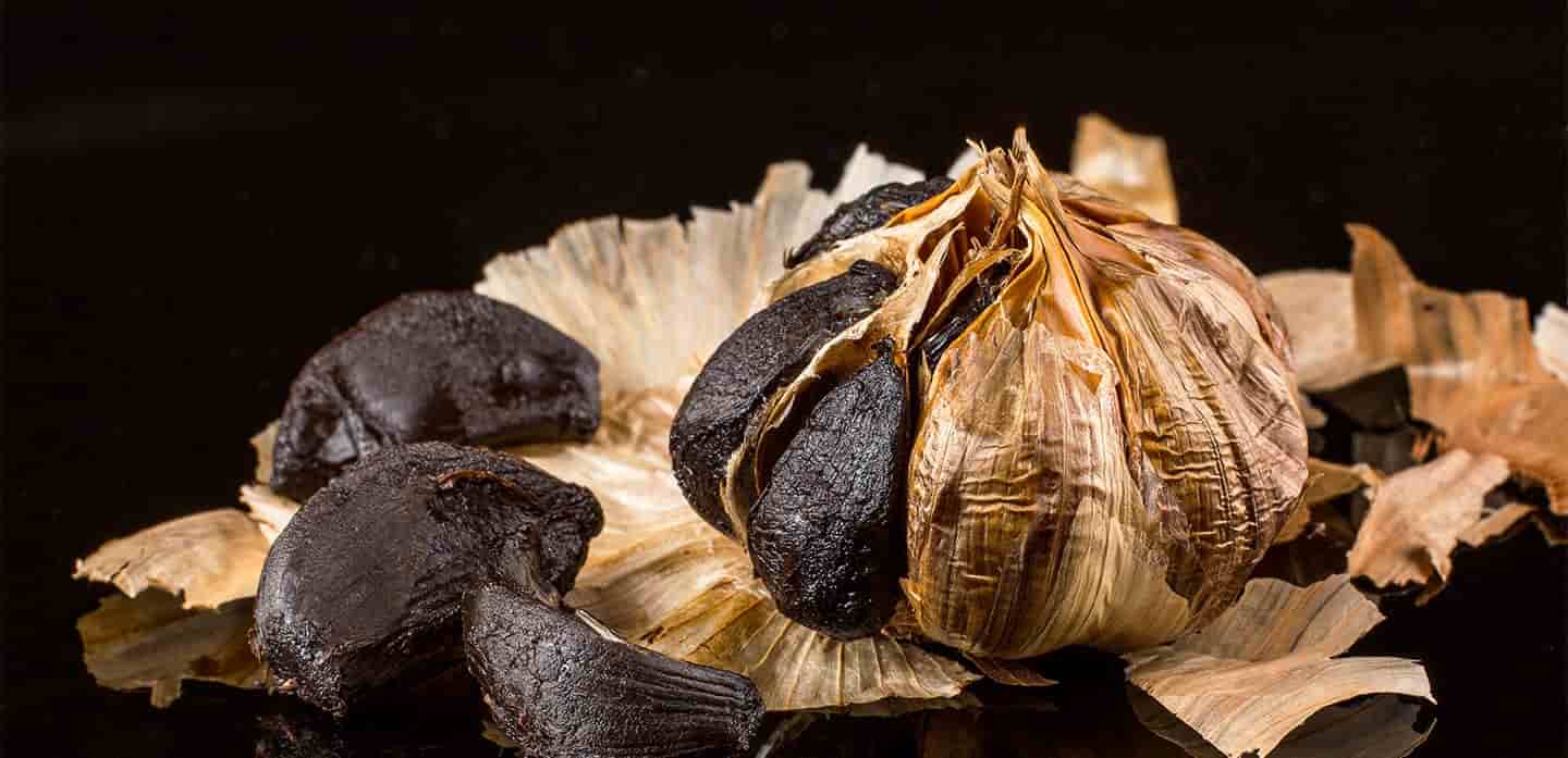 تصویر 1 از سیر سیاه حکیم زمانی تولید محدود با کیفیت برتر