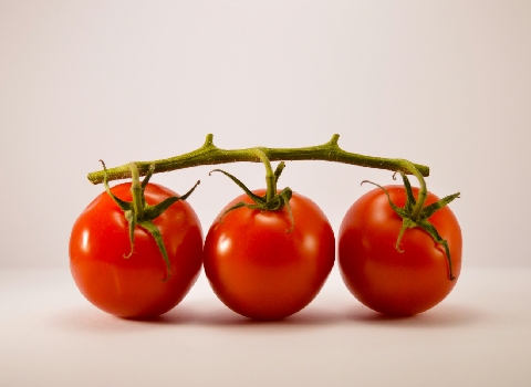 تصویر 3 از گوجه‌ فرنگی تازه مناسب پخت طولانی‌ مدت بدون افت رنگ و کیفیت