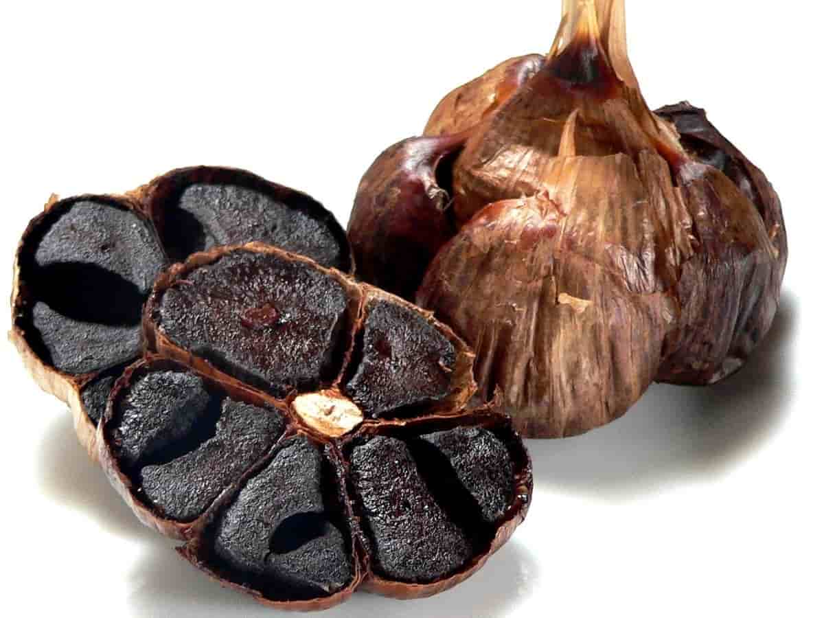 تصویر 2 از سیر سیاه گرگان محصولی محلی با کیفیت پایدار