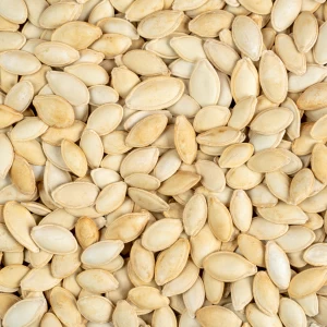 تصویر 4 از تخمه کدو دو آتیشه فرآوری‌ شده به روش سنتی با کیفیت ممتاز