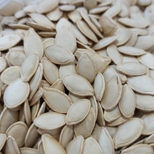 تصویر 1 از تخمه کدو فله فرآوری‌ شده با مغز سالم و تازه