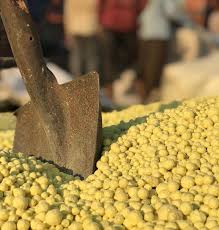 تصویر 1 از گوگرد گرانول کود بنتونیت دار ترکیب معدنی دانه‌ بندی‌ شده