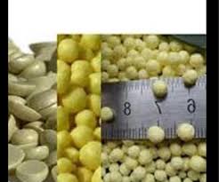 تصویر 4 از گوگرد گرانوله برای باغات میوه متنوع