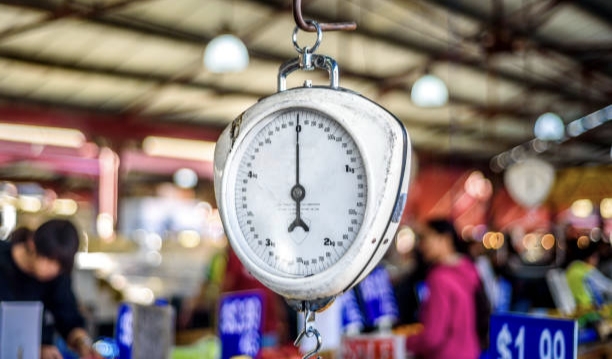 خرید باسکول آویز