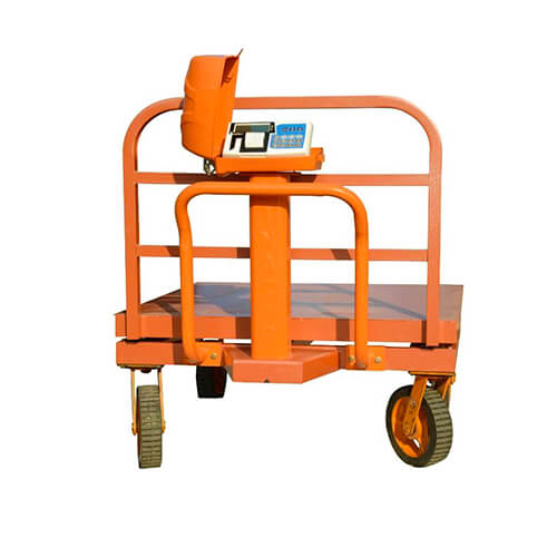 تصویر 4 از باسکول پرینتر دار با سیستم چاپ فیش حرارتی داخلی