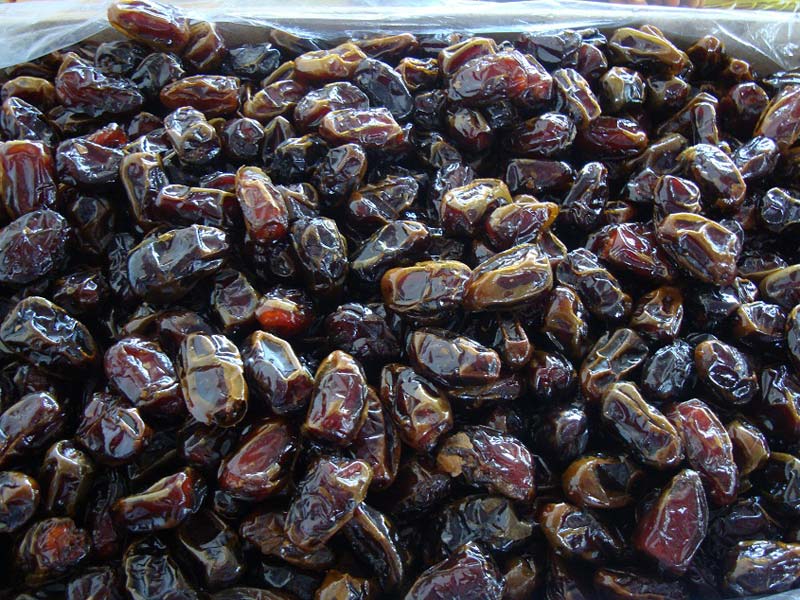 تصویر 2 از خرما کبکاب با ماندگاری بالا مناسب انبارداری