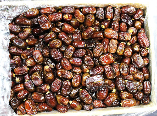 تصویر 1 از خرما کبکاب با ماندگاری بالا مناسب انبارداری