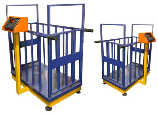 تصویر 1 از باسکول دامکش نیکو با درب های جانبی قفل شونده برای کنترل دام