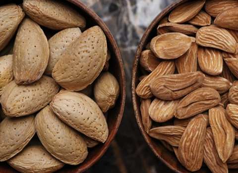 تصویر 1 از قیمت خرید بادام سنگی ارگانیک + فروش عمده