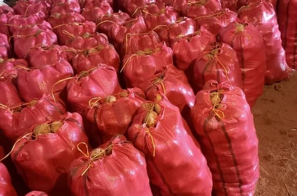 تصویر 3 از گونی قرمز مناسب حمل میوه و صیفی جات