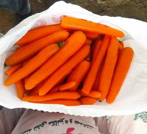 گونی هویج ساده و کاربردی برای بسته بندی