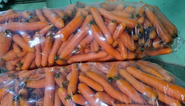 تصویر 2 از گونی هویج ساده و کاربردی برای بسته بندی