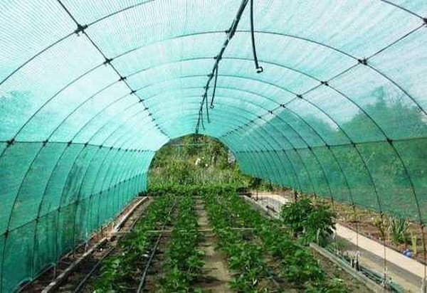 گونی گلخانه ای با وزن سبک و مقاومت بالا