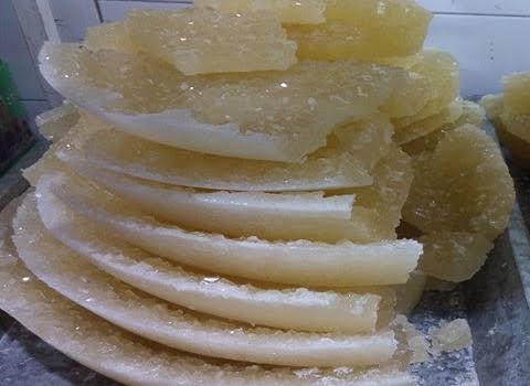 نبات کاسه ای