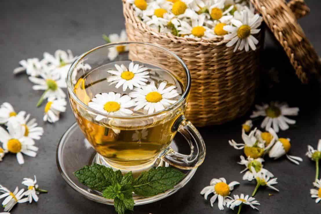 بابونه المانی خشک شده آسیاب یکنواخت دارویی