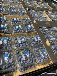 تصویر 2 از خرید عمده بلوبری ایرانی تازه قیمت روز کیفیت صادراتی و تأمین مستقیم باغداران