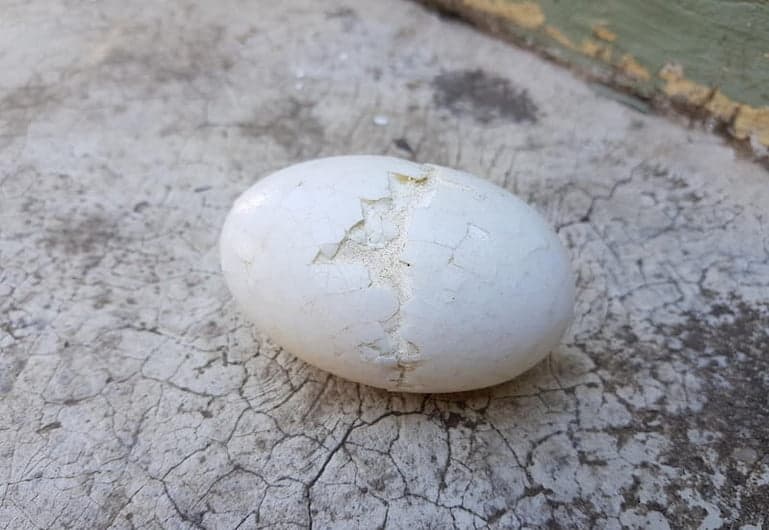 تصویر 2 از سنگ فیروزه سفید نیشابور مناسب ساخت زیورآلات دست‌ ساز