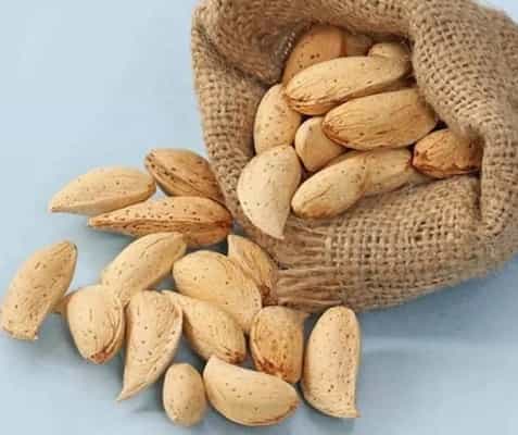 تصویر 1 از بادام درختی کوهستانی خام اعلا درجه یک