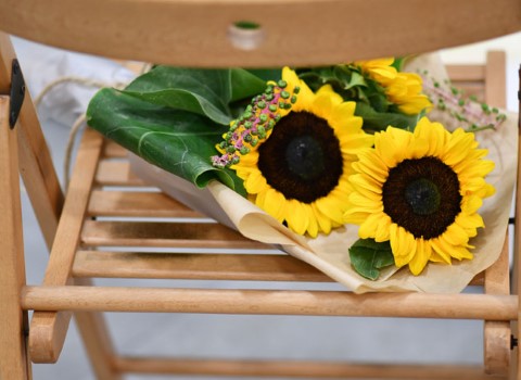 تصویر 4 از گل آفتابگردان طبیعی و شاداب + عمده