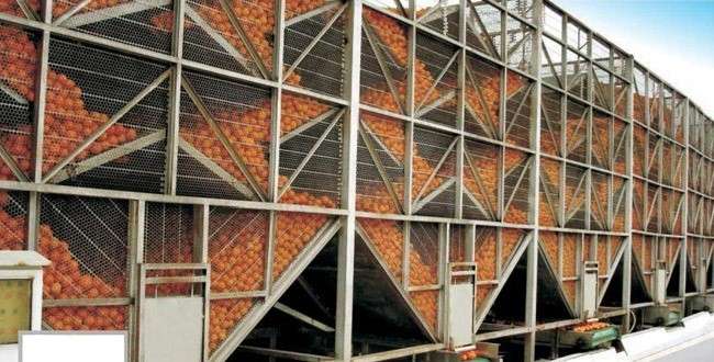 تصویر 2 از کنسانتره نارنج ساخته شده با ساختار مایع تغلیظ شده یکنواخت