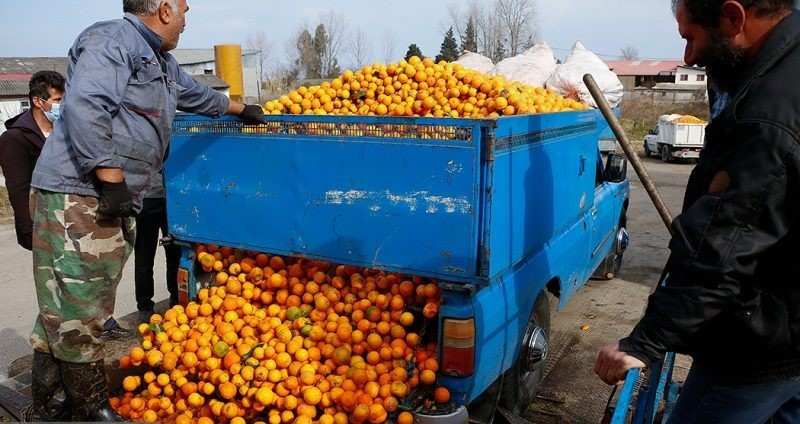 تصویر 4 از کنسانتره نارنج ساخته شده با ساختار مایع تغلیظ شده یکنواخت