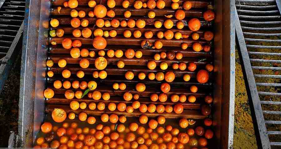 کنسانتره نارنج با طعمی اصیل و متفاوت صادراتی درجه یک