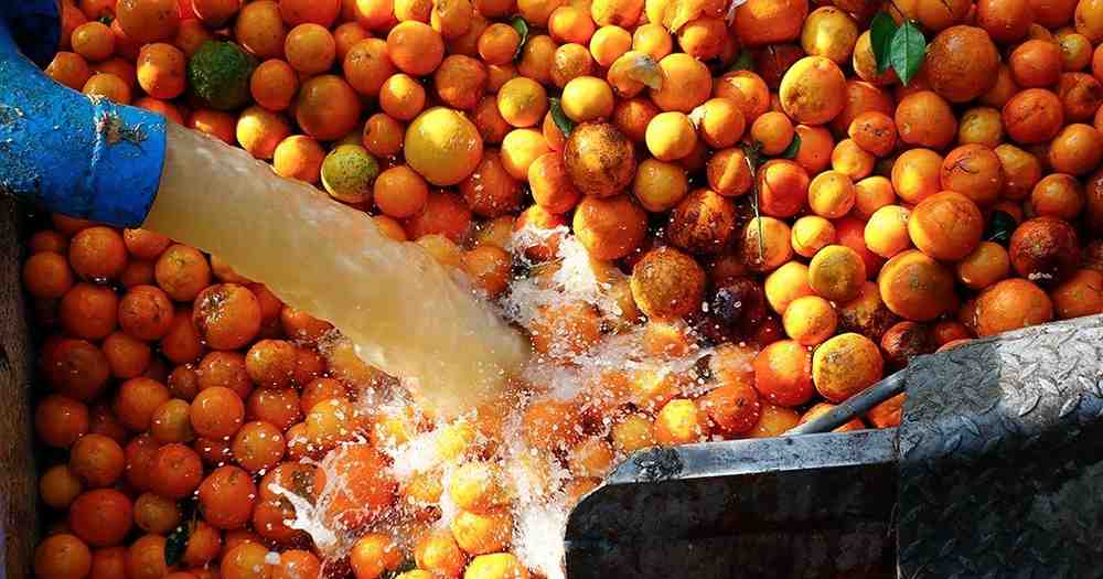 کنسانتره نارنگی مازندران با پایه طعم قوی و متعادل مناسب آشپزی