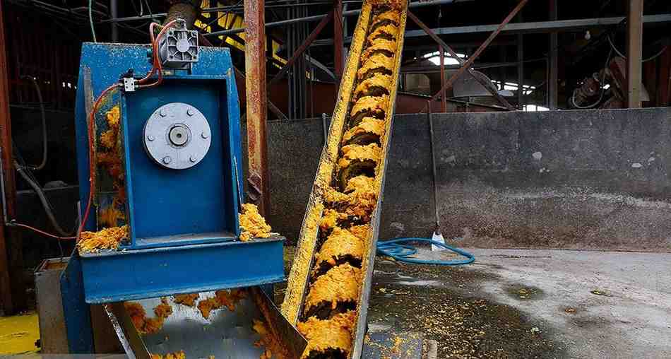 تصویر 4 از کنسانتره نارنگی پالپ دار برای تهیه انواع آبمیوه انرژی زا