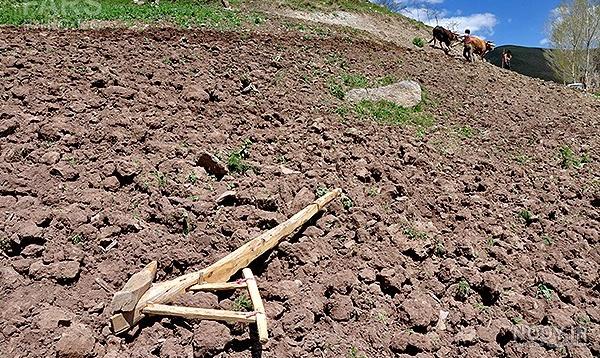 تصویر 4 از گاوآهن چوبی ساختار سنتی کارکرد ساده