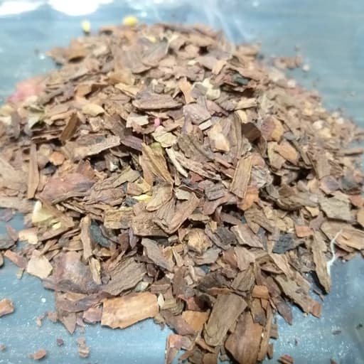 تصویر 4 از جفت بلوط با سایز و اندازه‌ های متنوع