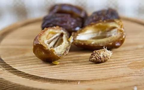 تصویر 3 از خرمای کبکاب تازه با طعم اصیل برداشت شده