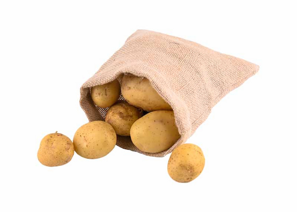 فروش سیب زمینی