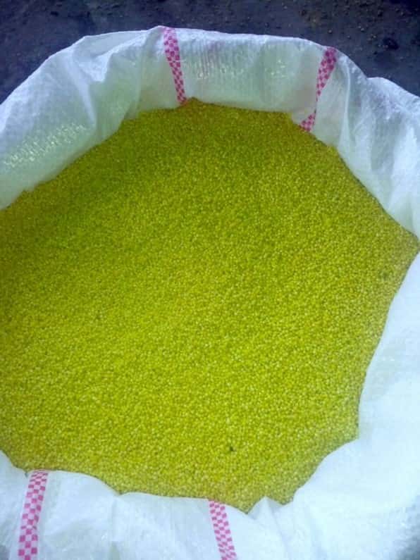 گوگرد گرانول برای پسته مهم برای کیفیت محصول