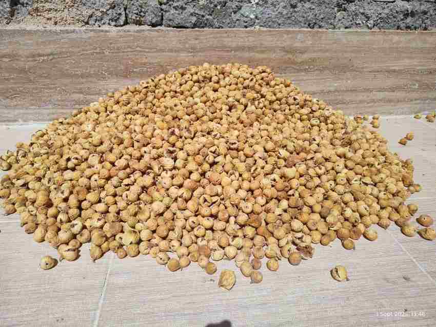 تصویر 5 از قیمت خرید انجیر خشک زرد + فروش عمده