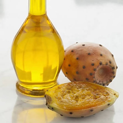 خرید روغن هسته میوه کاکتوس اصل + خرید مستقیم از تولید کننده ایرانی با ضمانت اصالت