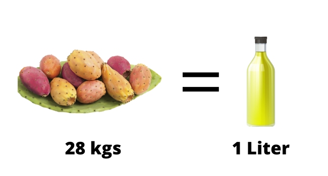 تصویر 3 از خرید روغن هسته میوه کاکتوس اصل + خرید مستقیم از تولید کننده ایرانی با ضمانت اصالت