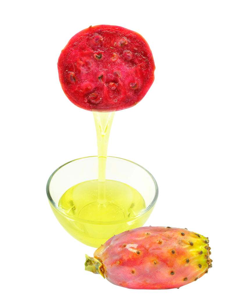 تصویر 2 از خرید روغن هسته میوه کاکتوس اصل + خرید مستقیم از تولید کننده ایرانی با ضمانت اصالت